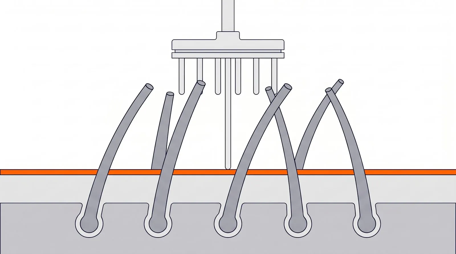 Magnified scalp cross-section: hair shafts thicker than the thin outer skin layer, with a dry electrode pin between them