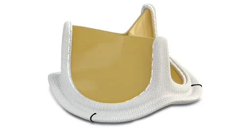 Inspiris Resilia aortic heart valve with tissue leaflets in a white fabric-covered frame