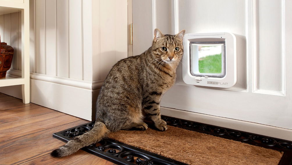 Pet-Tech-Smart-Pet-Door