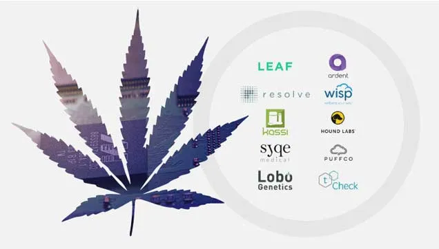 Cannabis leaf filled with circuit board imagery beside logos of ten cannabis tech companies