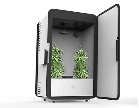 Leaf smart hydroponic grow box with its door open, showing two cannabis plants inside