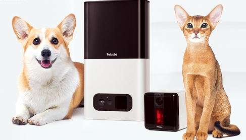 The best must-have dog products for 2023 - Tech Themen