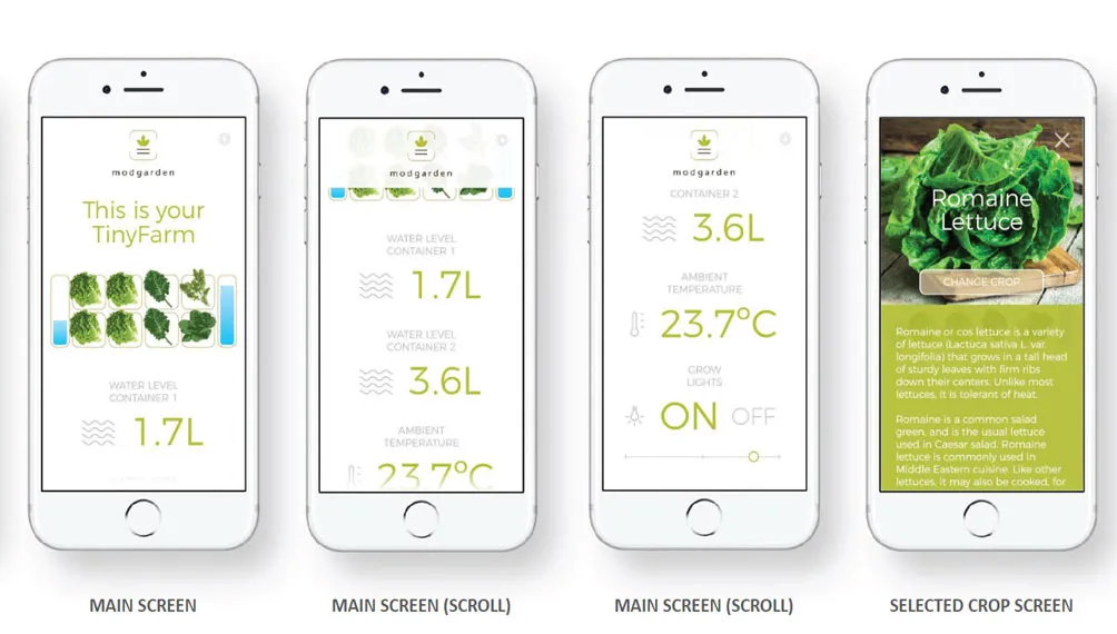 app dev mockup