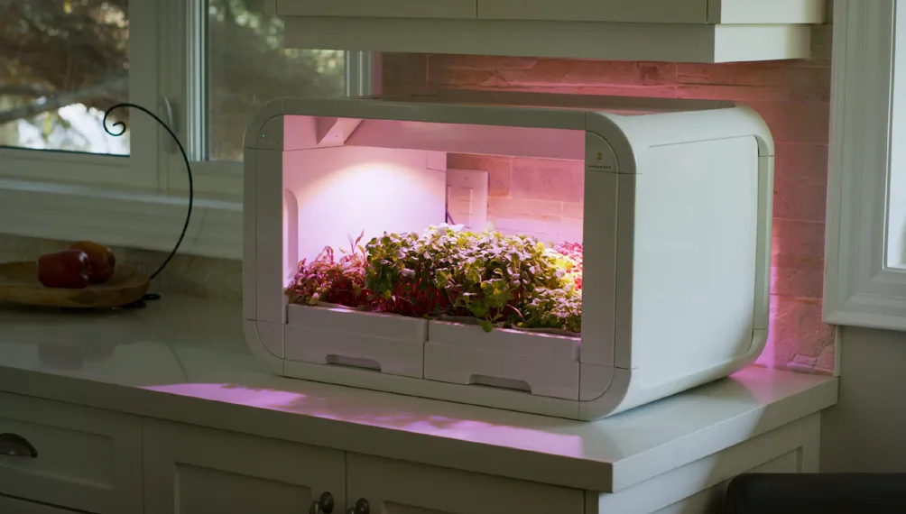 Modgarden indoor garden prototype with grow light on, growing greens on a kitchen counter