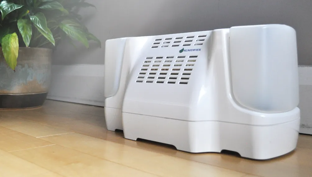 Rumidifier zero-energy humidifier on a hardwood floor beside a potted plant